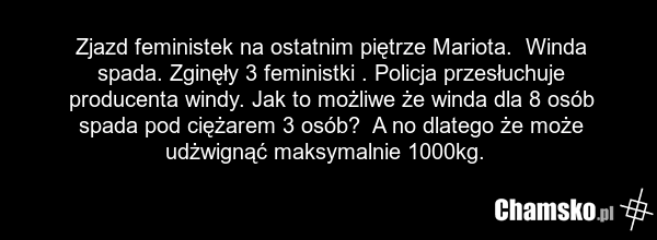 Zjazd feministek na ostatnim piętrze Mariota. Winda spada. Zginęły 3 feministki . Policja przesłuchuje producenta windy. Jak to możliwe że winda dla 8 osób spada pod ciężarem 3 osób? A no dlatego że może udżwignąć maksymalnie 1000kg.