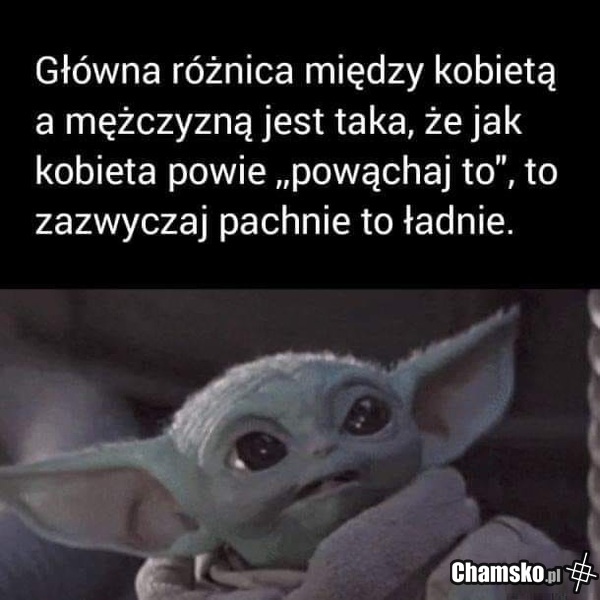 Różnica