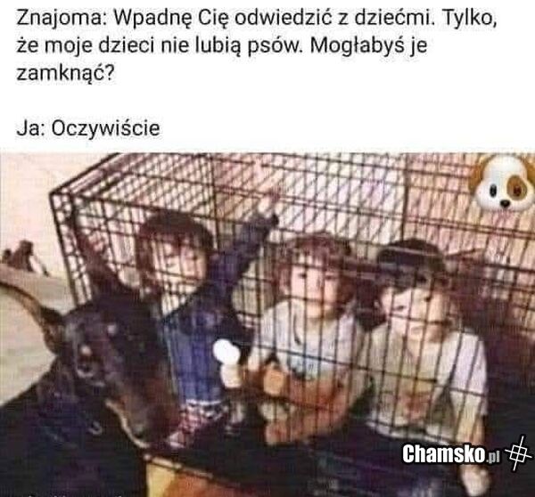 Klatka