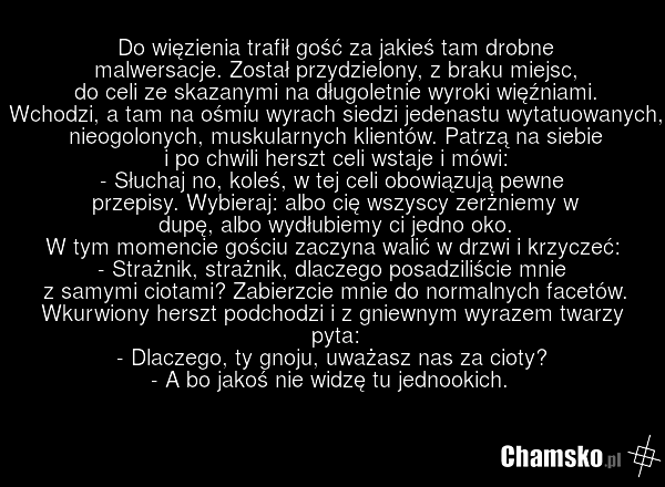 Świeżak w celi