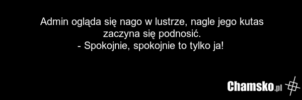 Admin ogląda się nago w lustrze, nagle jego kutas zaczyna się podnosić. - Spokojnie, spokojnie to tylko ja!