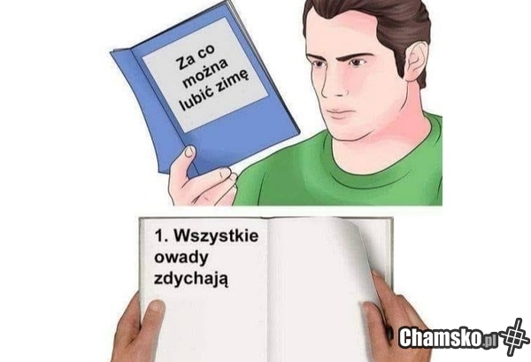 Powód do polubienia zimy