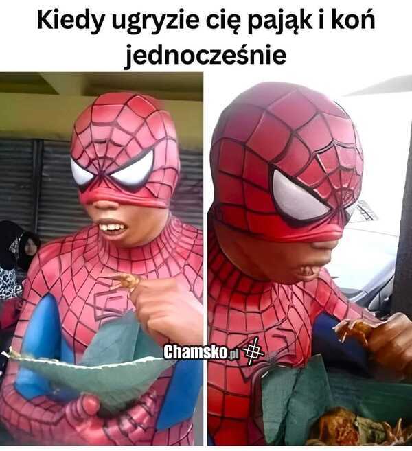 0_1_124063_Spiderman_przez_pluszowymis.jpg