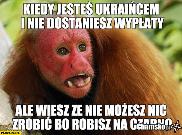 Hehe
