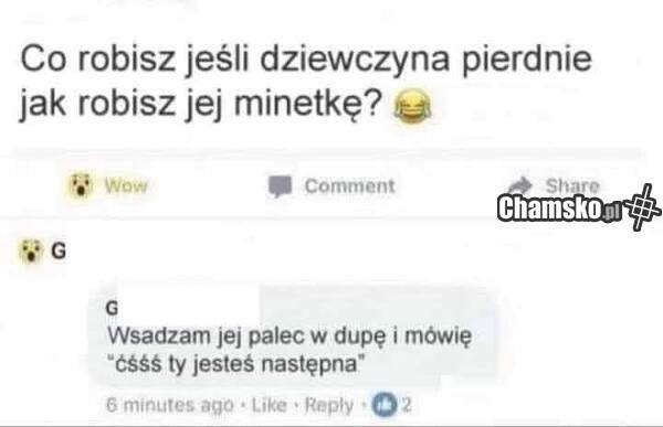 Pierd