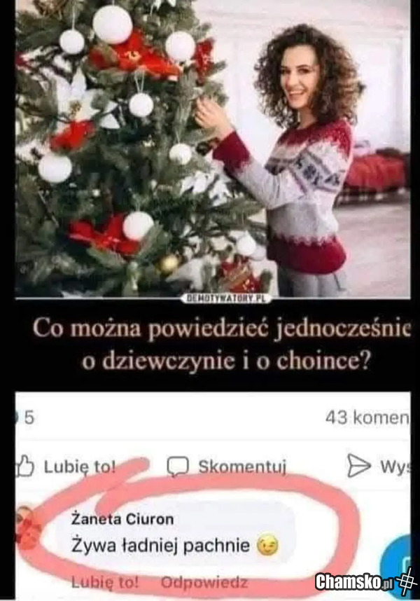Dziewczyna i choinka