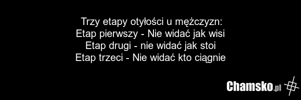 Trzy etapy otyłości u mężczyzn: Etap pierwszy - Nie widać jak wisi Etap drugi - nie widać jak stoi Etap trzeci - Nie widać kto ciągnie
