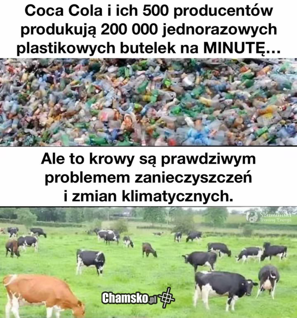 Eko