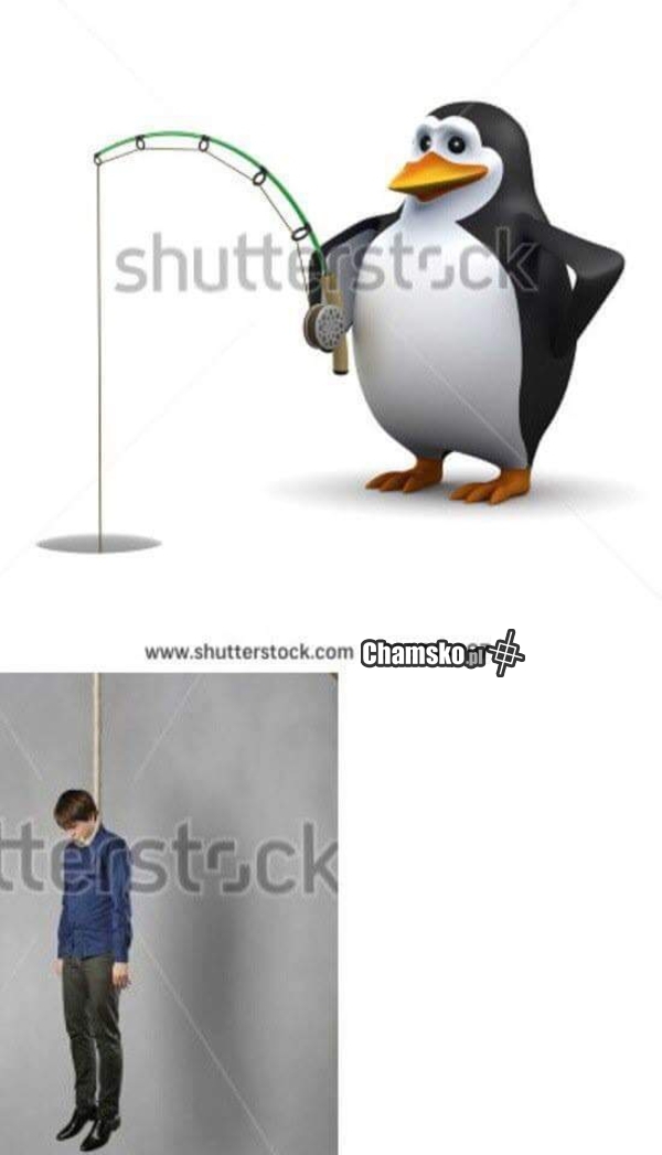 Pingwinek