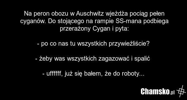 Na peron obozu w Auschwitz wjeżdża pociąg pełen cyganów. Do stojącego na rampie SS-mana podbiega przerażony Cygan i pyta: - po co nas tu wszystkich przywieźliście? - żeby was wszystkich zagazować i spalić - uffffff, już się bałem, że do roboty...