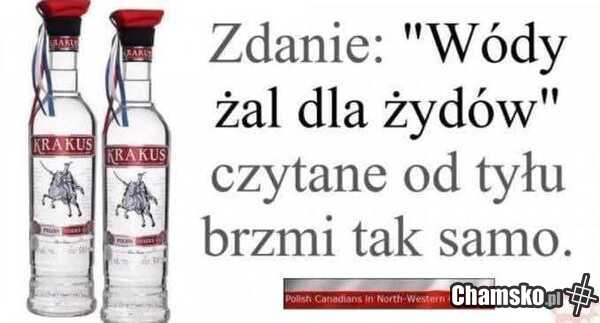 Palindrom