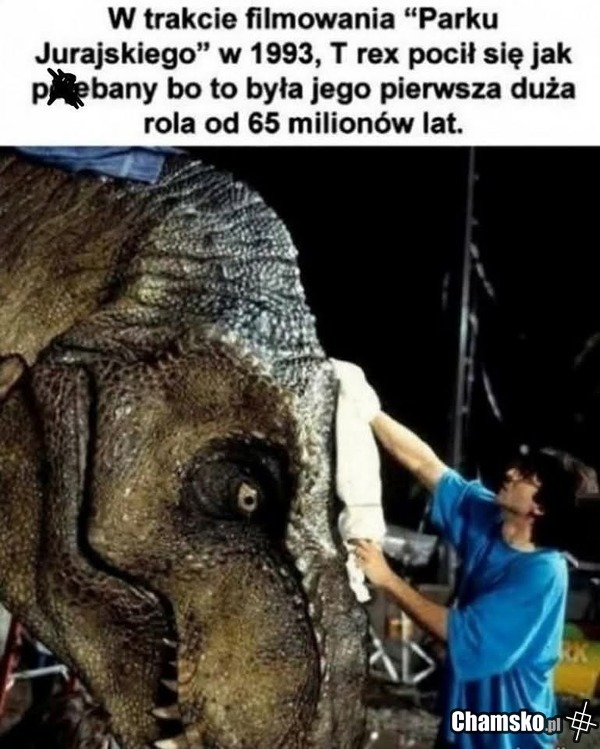 0_1_124164_Ciekawostka__przez_venom669.jpg