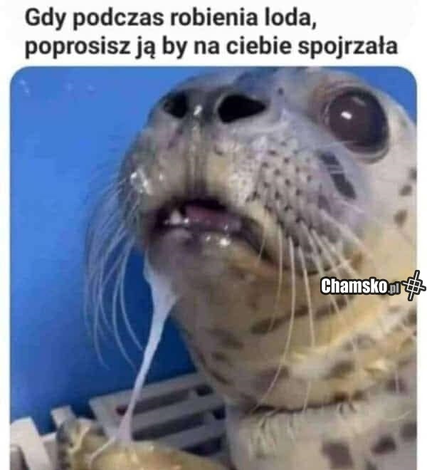 Lodzik