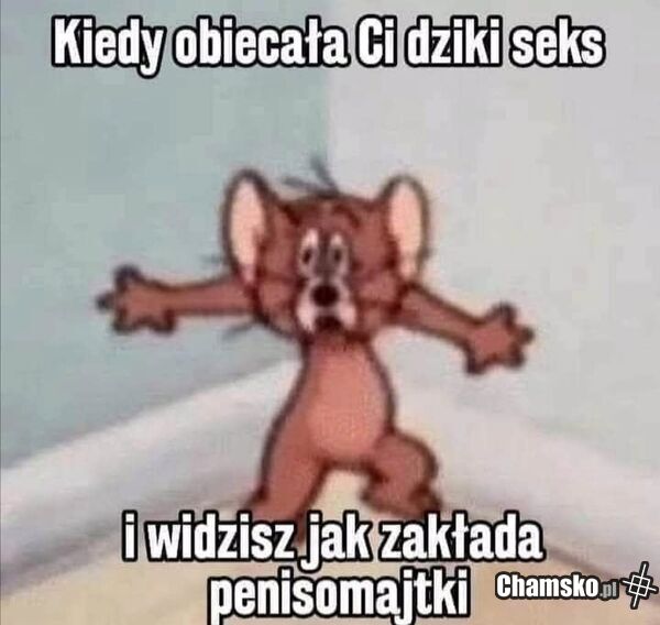 Dziki seks