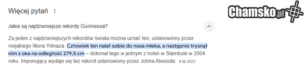 podpowiedzi google.pl