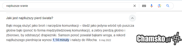 podpowiedzi google.pl