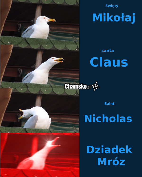 Jak on się w końcu nazywa ?