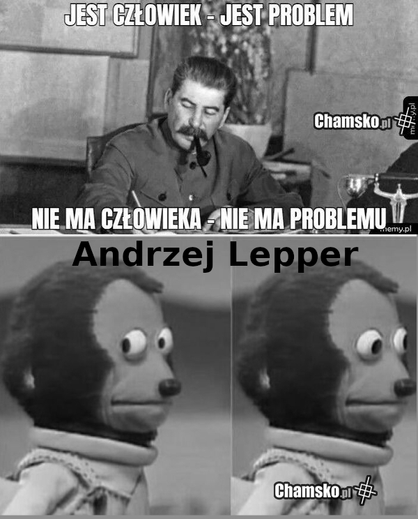 Polityka