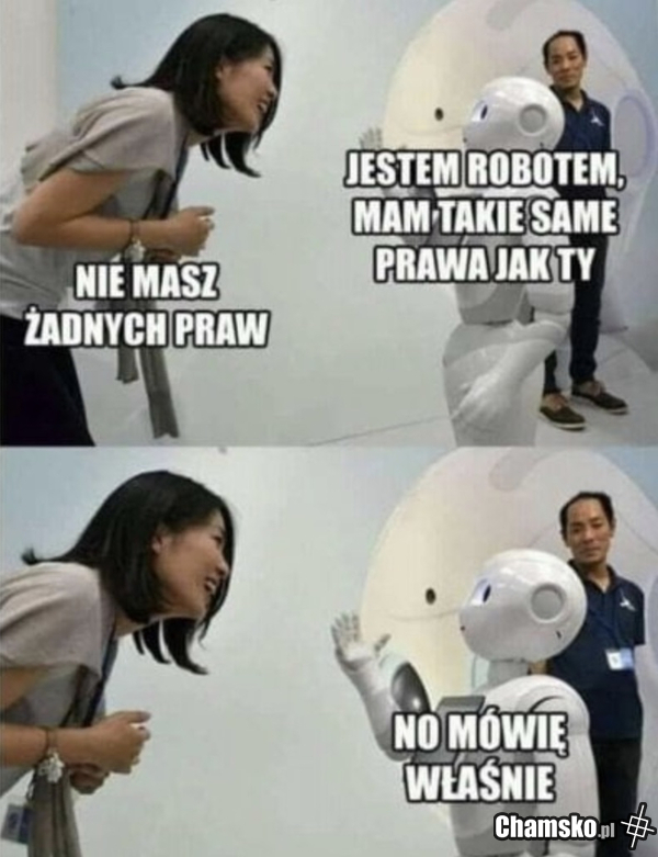 Robot