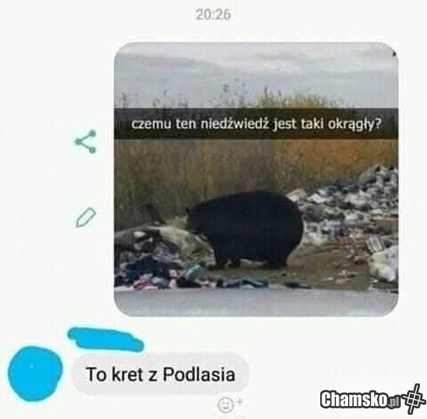 metanabol z Zambrowa