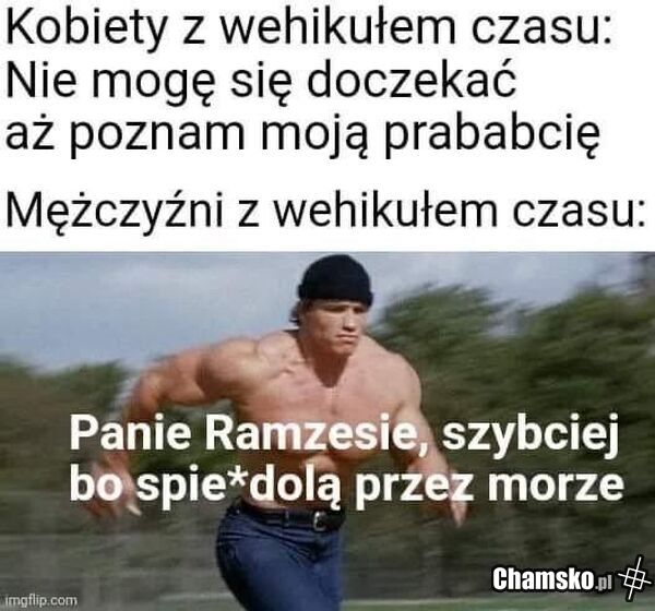 Wehikuł czasu