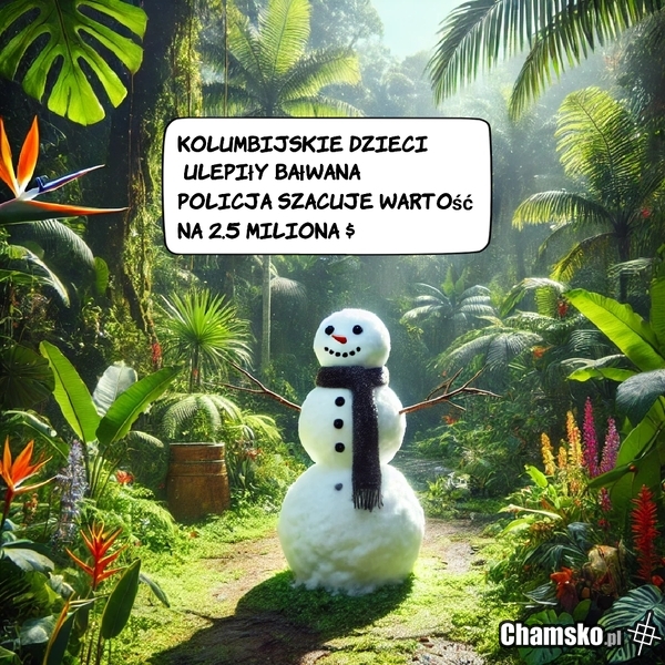La Kokanostra