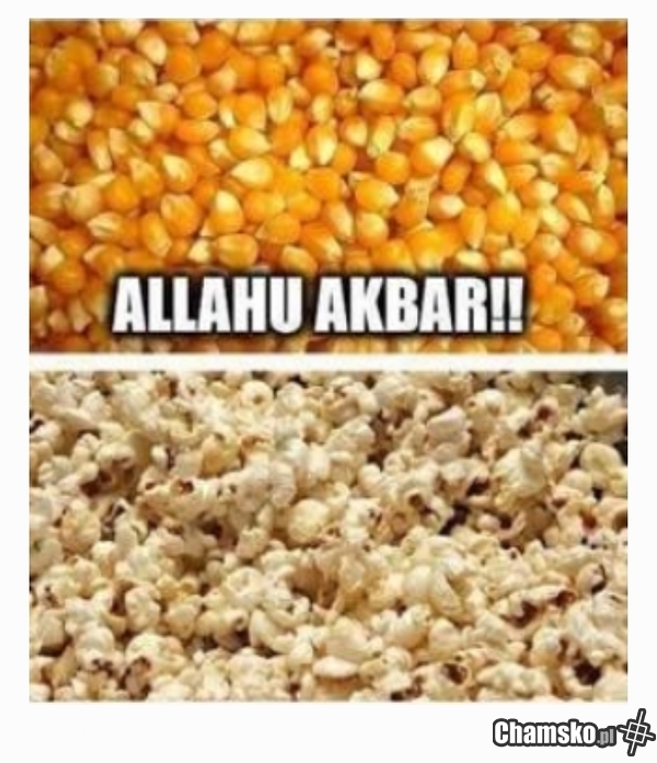 Wybuchowa kukurydza