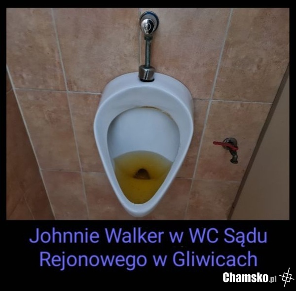 W Gliwicach na bogato