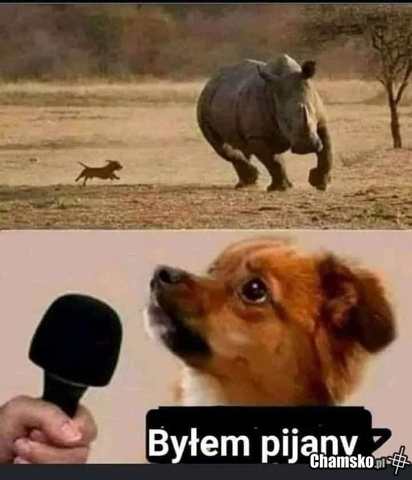 Przygody Spajka z Zambrowa
