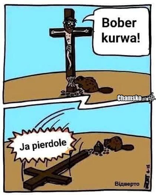 No kurwa!