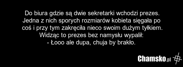 Do biura gdzie są dwie sekretarki wchodzi prezes. Jedna z nich sporych rozmiarów kobieta sięgała po coś i przy tym zakręciła nieco swoim dużym tyłkiem. Widząc to prezes bez namysłu wypalił: - Łooo ale dupa, chuja by brakło.