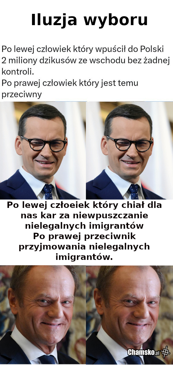 iluzja wyboru