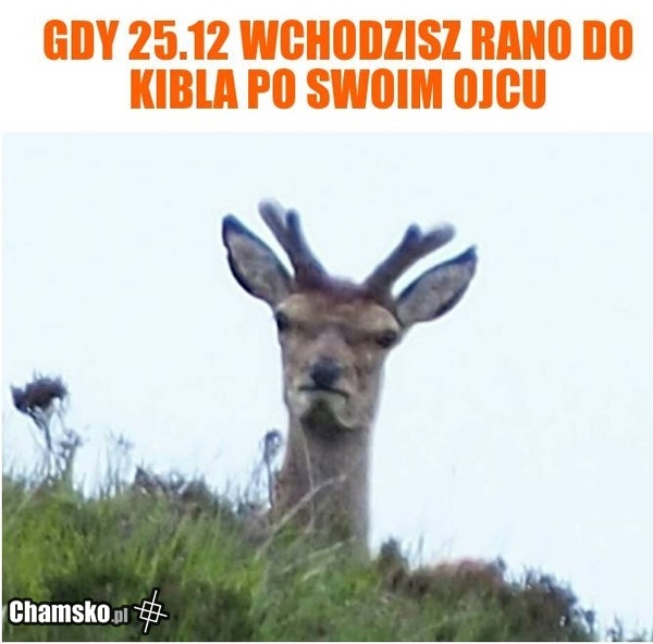 Wizyta w kiblu po starym
