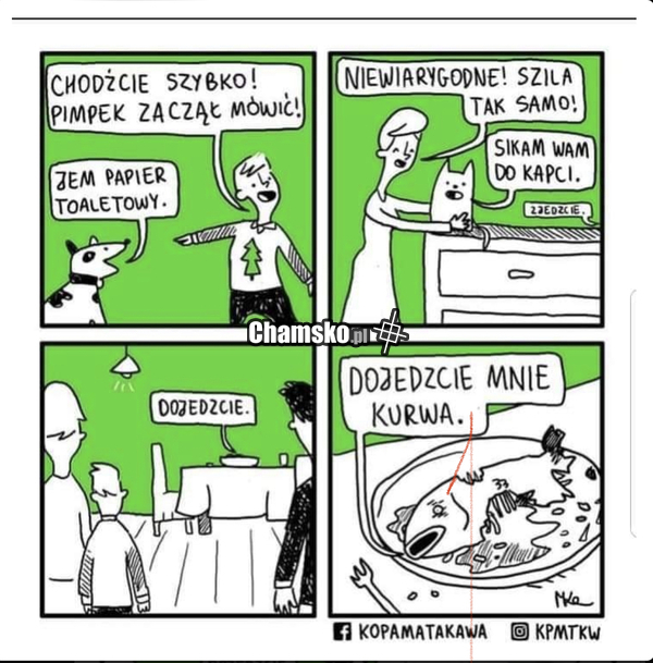 Gdy zwierzęta przemówią