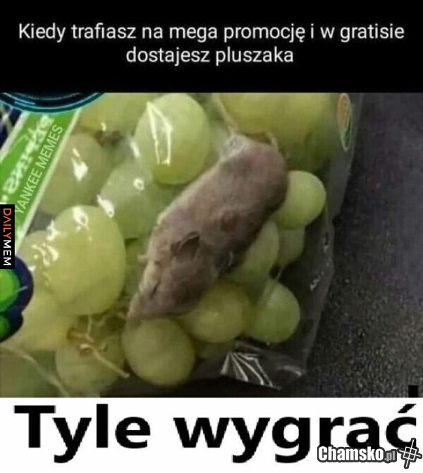 Jackpot