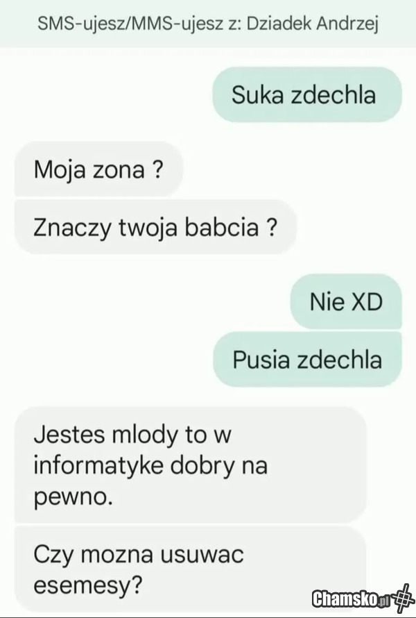 Suka zdechła
