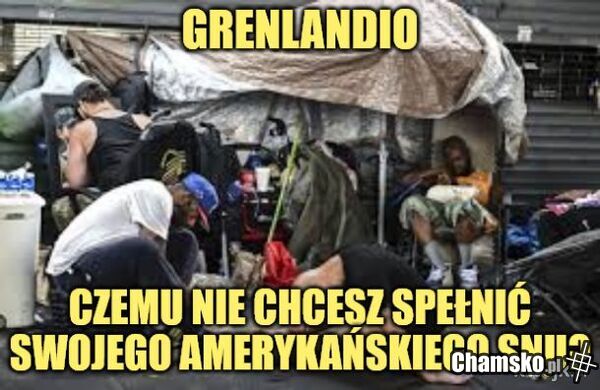 Grenlandia powinna dołączyć do USA jako kolejny stan. Wyślą tam wszystkich fentanylowych ćpunów. Ci zamarzną i problem z glowy