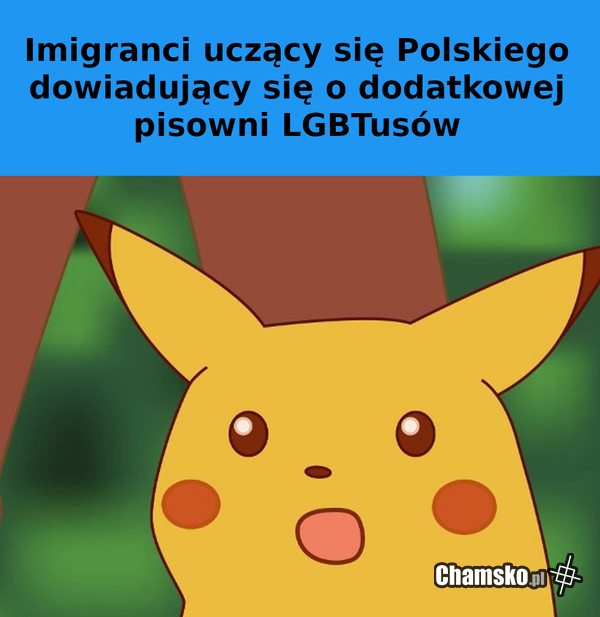 słownik poprawnej LGBTszczyzny