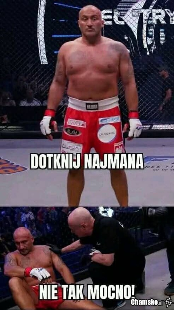 Mistrz świata KFC