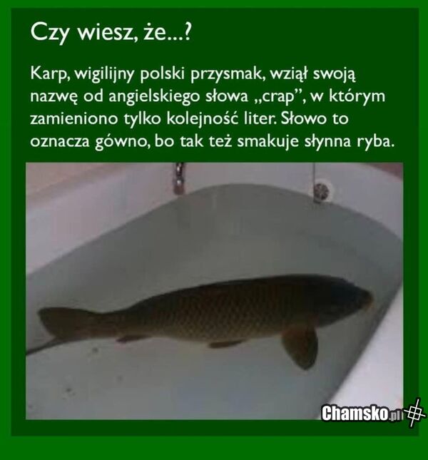 Czy wiesz że