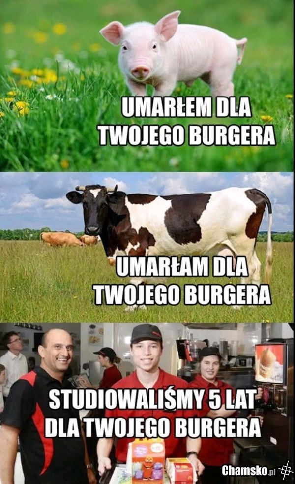Yebać PiS
