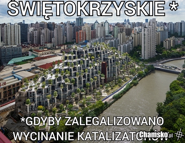 Scyzory