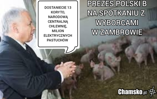 Tak widzę zjebów głosujących na tego ciula