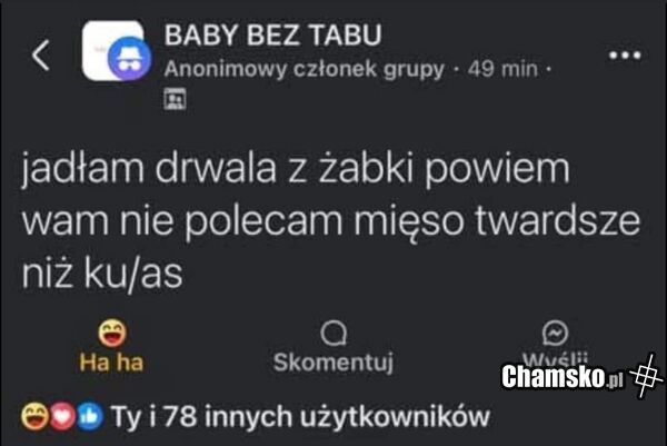 Drwal