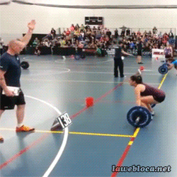 Crossfit, dziwko!
