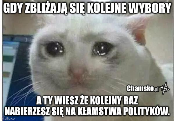 wybory prezydenckie