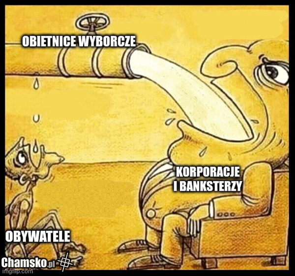 wybory