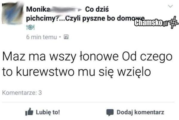 Wszy