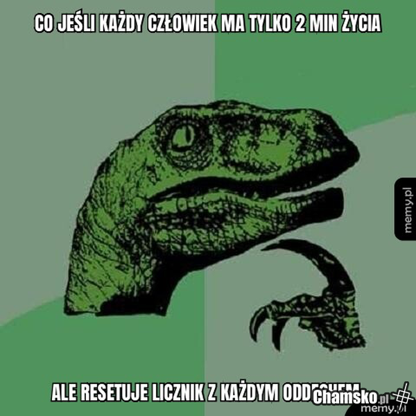 Suma oddechów
