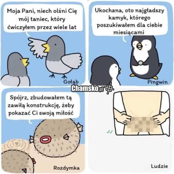 Jak zaimponować
